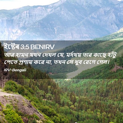 Picture 02 - ইষ্টেৰ 3:5 BENIRV - আর হামন যখন দেখল - Bible Verse Picture