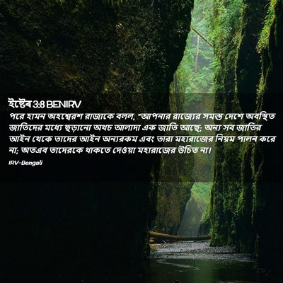 Picture 02 - ইষ্টেৰ 3:8 BENIRV - পরে হামন অহশ্বেরশ - Bible Verse Picture