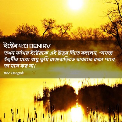 Picture 02 - ইষ্টেৰ 4:13 BENIRV - তখন মর্দখয় - Bible Verse Picture