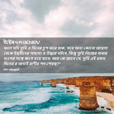 Picture 02 - ইষ্টেৰ 4:14 BENIRV - ফলে যদি তুমি এ - Bible Verse Picture