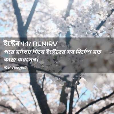Picture 02 - ইষ্টেৰ 4:17 BENIRV - পরে মর্দখয় গিয়ে - Bible Verse Picture
