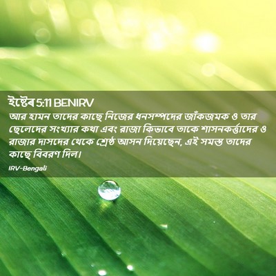 Picture 02 - ইষ্টেৰ 5:11 BENIRV - আর হামন তাদের কাছে - Bible Verse Picture