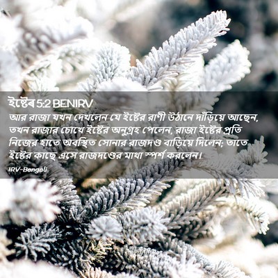 Picture 02 - ইষ্টেৰ 5:2 BENIRV - আর রাজা যখন দেখলেন - Bible Verse Picture