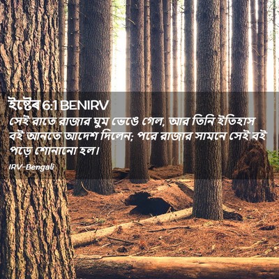 Picture 02 - ইষ্টেৰ 6:1 BENIRV - সেই রাতে রাজার ঘুম - Bible Verse Picture