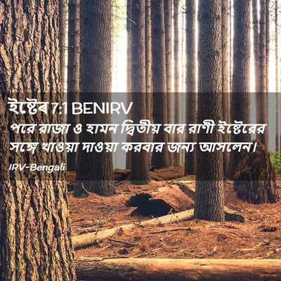 Picture 02 - ইষ্টেৰ 7:1 BENIRV - পরে রাজা ও হামন - Bible Verse Picture