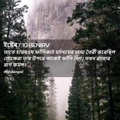 Picture 02 - ইষ্টেৰ 7:10 BENIRV - তাতে হামন যে - Bible Verse Picture