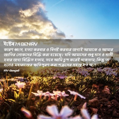 Picture 02 - ইষ্টেৰ 7:4 BENIRV - কারণ ধ্বংস, হত্যা - Bible Verse Picture