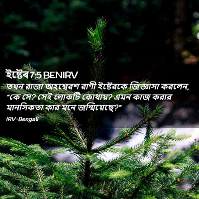 Picture 02 - ইষ্টেৰ 7:5 BENIRV - তখন রাজা অহশ্বেরশ - Bible Verse Picture