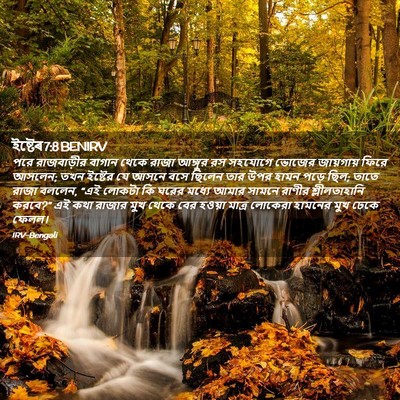 Picture 02 - ইষ্টেৰ 7:8 BENIRV - পরে রাজবাড়ীর - Bible Verse Picture