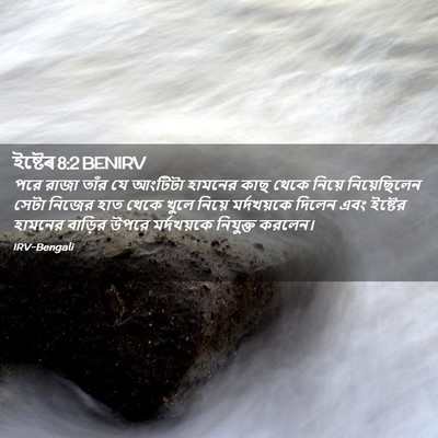 Picture 02 - ইষ্টেৰ 8:2 BENIRV - পরে রাজা তাঁর যে - Bible Verse Picture