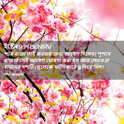 Picture 02 - ইষ্টেৰ 9:14 BENIRV - পরে রাজা তাই করবার - Bible Verse Picture