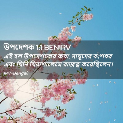 Picture 02 - উপদেশক 1:1 BENIRV - এই হল উপদেশকের কথা, - Bible Verse Picture
