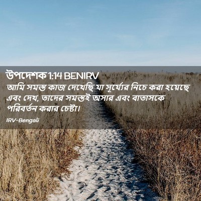 Picture 02 - উপদেশক 1:14 BENIRV - আমি সমস্ত কাজ - Bible Verse Picture