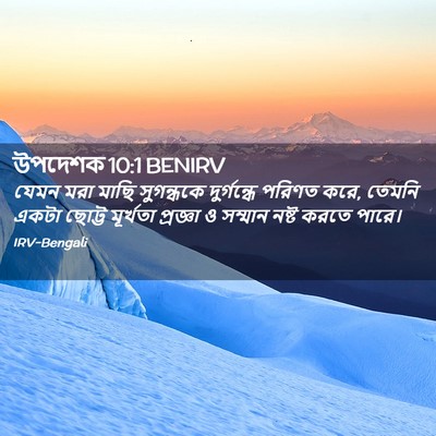 Picture 02 - উপদেশক 10:1 BENIRV - যেমন মরা মাছি - Bible Verse Picture
