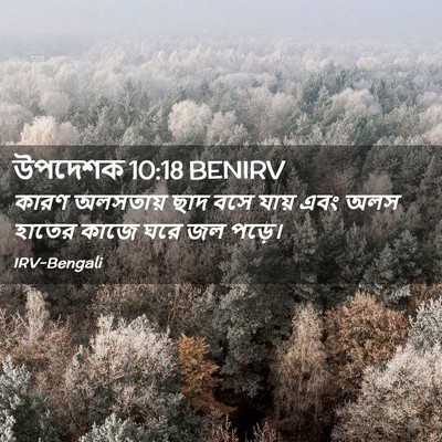 Picture 02 - উপদেশক 10:18 BENIRV - কারণ অলসতায় ছাদ - Bible Verse Picture