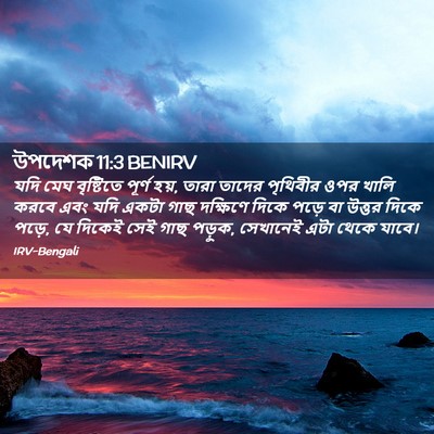 Picture 02 - উপদেশক 11:3 BENIRV - যদি মেঘ বৃষ্টিতে - Bible Verse Picture