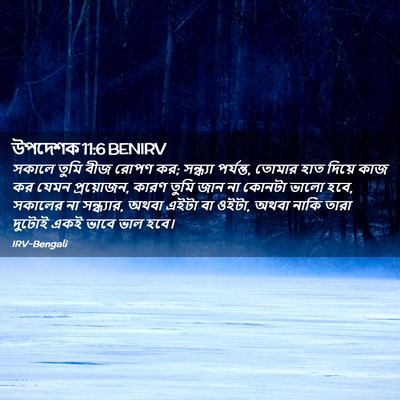 Picture 02 - উপদেশক 11:6 BENIRV - সকালে তুমি বীজ - Bible Verse Picture