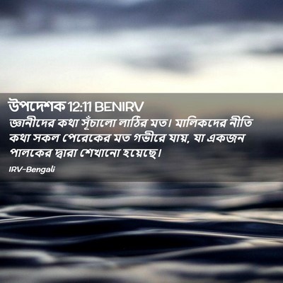 Picture 02 - উপদেশক 12:11 BENIRV - জ্ঞানীদের কথা - Bible Verse Picture