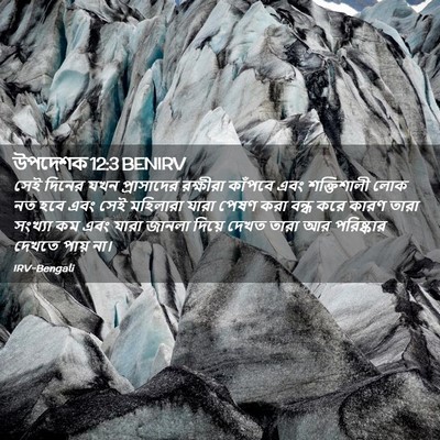 Picture 02 - উপদেশক 12:3 BENIRV - সেই দিনের যখন - Bible Verse Picture