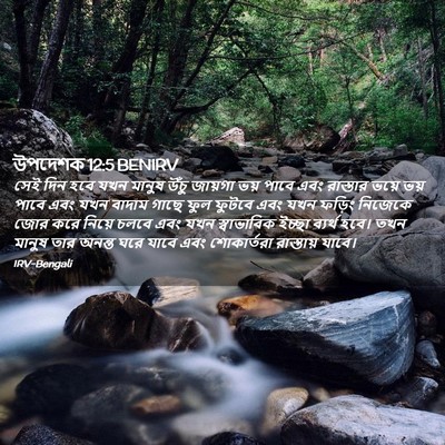 Picture 02 - উপদেশক 12:5 BENIRV - সেই দিন হবে যখন - Bible Verse Picture
