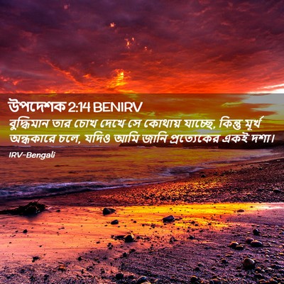Picture 02 - উপদেশক 2:14 BENIRV - বুদ্ধিমান তার চোখ - Bible Verse Picture