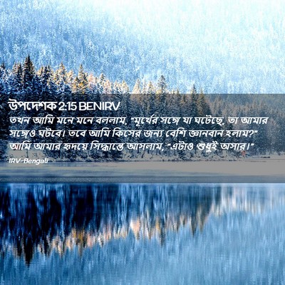 Picture 02 - উপদেশক 2:15 BENIRV - তখন আমি মনে মনে - Bible Verse Picture