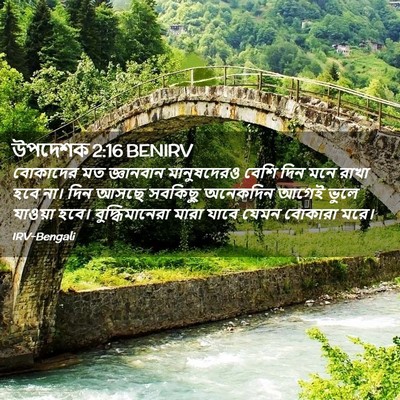 Picture 02 - উপদেশক 2:16 BENIRV - বোকাদের মত - Bible Verse Picture