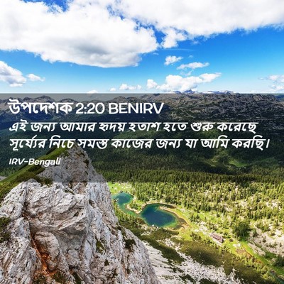 Picture 02 - উপদেশক 2:20 BENIRV - এই জন্য আমার হৃদয় - Bible Verse Picture