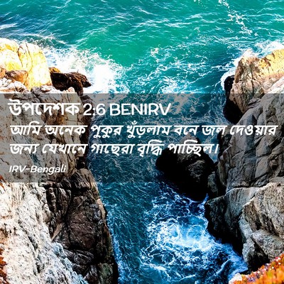 Picture 02 - উপদেশক 2:6 BENIRV - আমি অনেক পুকুর - Bible Verse Picture