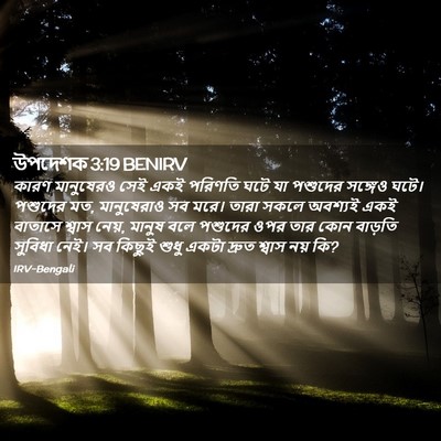 Picture 02 - উপদেশক 3:19 BENIRV - কারণ মানুষেরও সেই - Bible Verse Picture