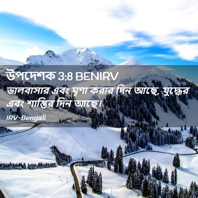 Picture 02 - উপদেশক 3:8 BENIRV - ভালবাসার এবং ঘৃণা - Bible Verse Picture