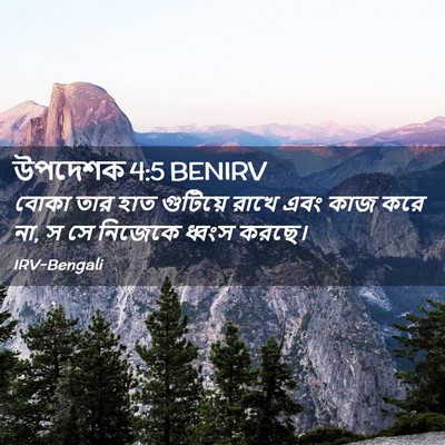 Picture 02 - উপদেশক 4:5 BENIRV - বোকা তার হাত - Bible Verse Picture