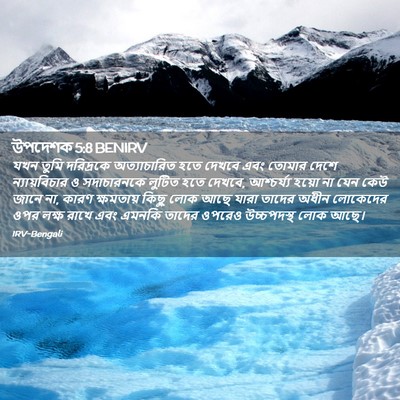 Picture 02 - উপদেশক 5:8 BENIRV - যখন তুমি দরিদ্রকে - Bible Verse Picture