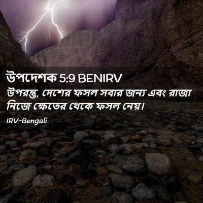 Picture 02 - উপদেশক 5:9 BENIRV - উপরন্তু, দেশের ফসল - Bible Verse Picture