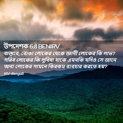 Picture 02 - উপদেশক 6:8 BENIRV - বাস্তবে, বোকা - Bible Verse Picture