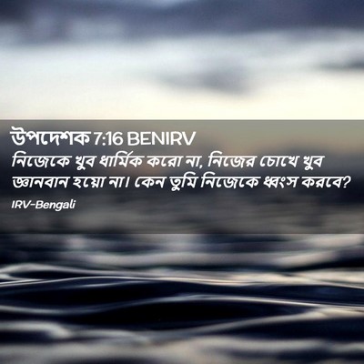 Picture 02 - উপদেশক 7:16 BENIRV - নিজেকে খুব - Bible Verse Picture