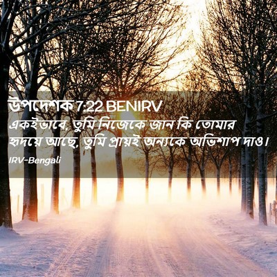 Picture 02 - উপদেশক 7:22 BENIRV - একইভাবে, তুমি - Bible Verse Picture
