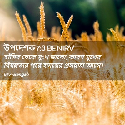Picture 02 - উপদেশক 7:3 BENIRV - হাঁসির থেকে দুঃখ - Bible Verse Picture