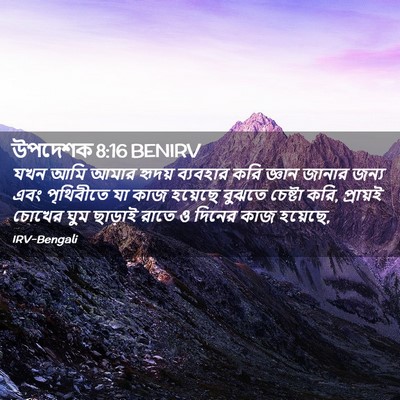 Picture 02 - উপদেশক 8:16 BENIRV - যখন আমি আমার হৃদয় - Bible Verse Picture