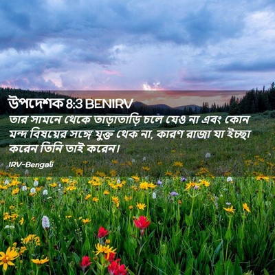Picture 02 - উপদেশক 8:3 BENIRV - তার সামনে থেকে - Bible Verse Picture