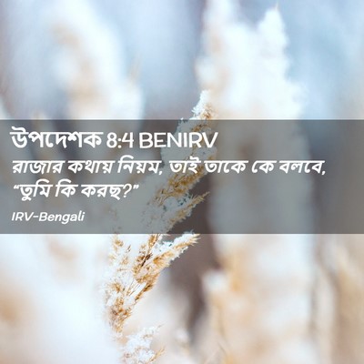 Picture 02 - উপদেশক 8:4 BENIRV - রাজার কথায় নিয়ম, - Bible Verse Picture