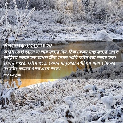 Picture 02 - উপদেশক 9:12 BENIRV - কারণ কেউ জানে না - Bible Verse Picture