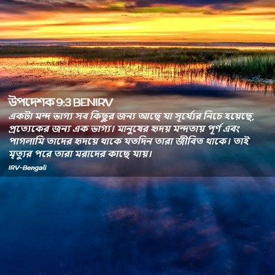 Picture 02 - উপদেশক 9:3 BENIRV - একটা মন্দ ভাগ্য সব - Bible Verse Picture