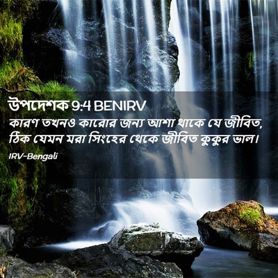 Picture 02 - উপদেশক 9:4 BENIRV - কারণ তখনও কারোর - Bible Verse Picture