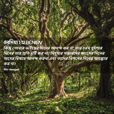 Picture 02 - ওবদিয়া 1:12 BENIRV - কিন্তু তোমার - Bible Verse Picture