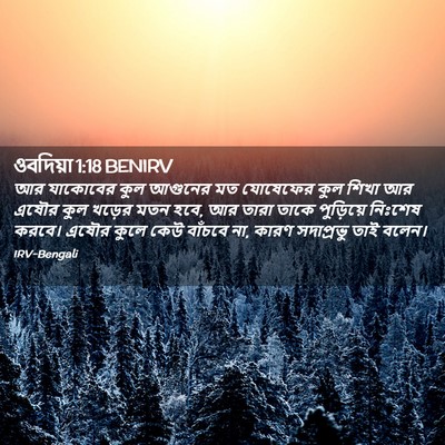 Picture 02 - ওবদিয়া 1:18 BENIRV - আর যাকোবের কুল - Bible Verse Picture