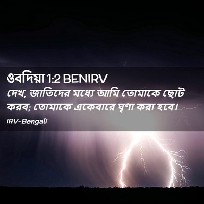 Picture 02 - ওবদিয়া 1:2 BENIRV - দেখ, জাতিদের মধ্যে - Bible Verse Picture