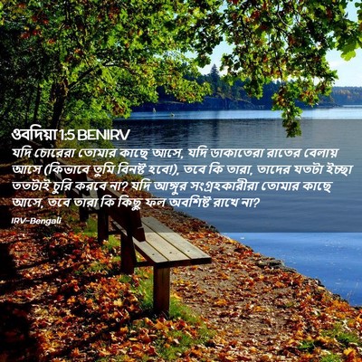 Picture 02 - ওবদিয়া 1:5 BENIRV - যদি চোরেরা তোমার - Bible Verse Picture