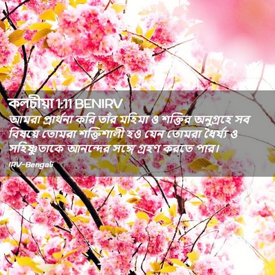 Picture 02 - কলচীয়া 1:11 BENIRV - আমরা প্রার্থনা - Bible Verse Picture