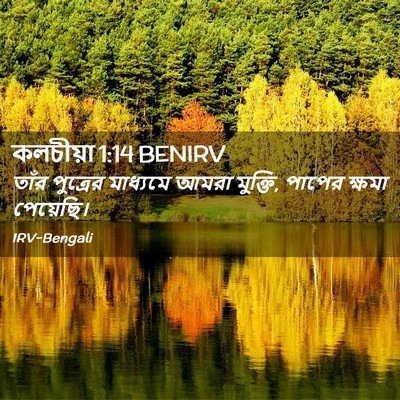 Picture 02 - কলচীয়া 1:14 BENIRV - তাঁর পুত্রের - Bible Verse Picture